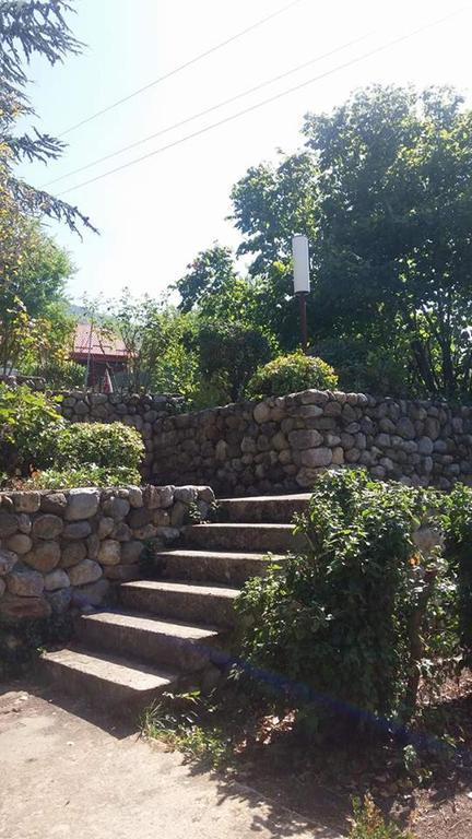 Vila Popovski Ljubaništa Exteriér fotografie